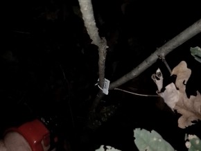 img_20201103_184334-2