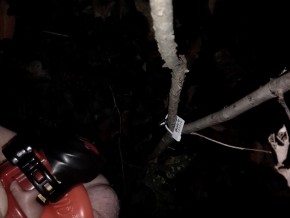 img_20201103_184340-2