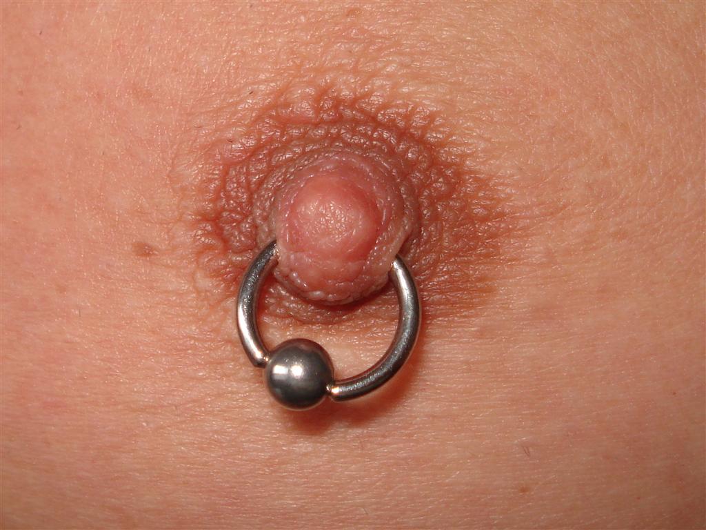 tepel